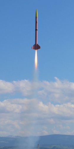 Ruzovy Panter na 800 Ns